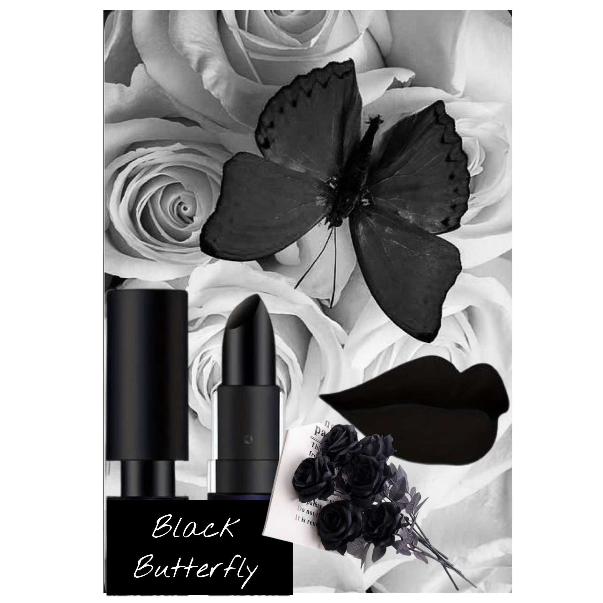 Black Butterfly